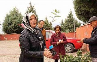 Elmalı’da bin 300 aronya fidanı dağıtıldı