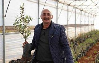 Emekli imam kurduğu serada siparişlere yetişemiyor