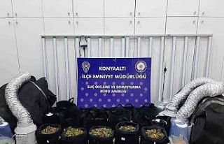 Evinde uyuşturucu madde imal edip satan şüpheli...