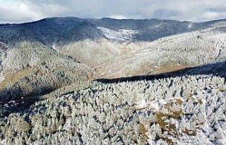 Kar Ilgaz Dağı’nın eteklerinde kartpostallık...
