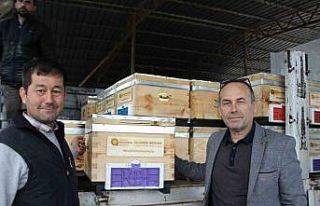 Kemer’de arı üreticilerine kovan desteği