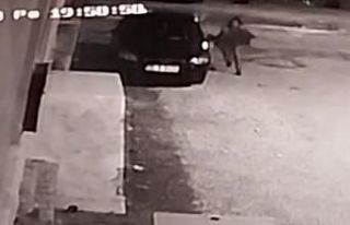 Köpeğin saldırdığı genç kız son anda kurtuldu