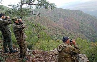 Köyceğiz’de yaban keçilerinin tespiti yapıldı