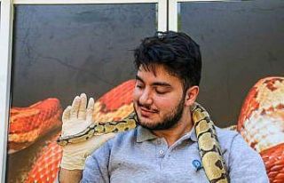 Mahalleye korku salan kral pitonunu boynuna dolayıp...