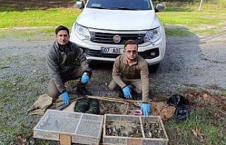 Manisa’da kaçak saka avlayan kişiye 169 bin lira...