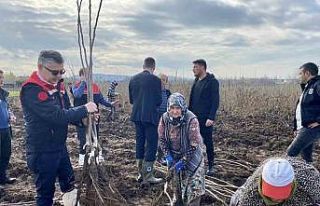Meyve Fidanı Üretimi Ülke Ekonomisine Büyük Katkı...