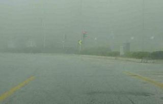 Muğla’da sis etkili oldu