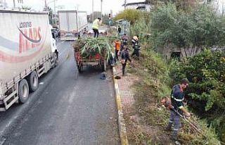 Nazilli’de temizlik ekipleri karayolu kenarlarını...
