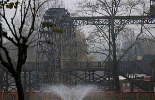 Sis ve doğa buluştu, ortaya eşsiz manzaralar çıktı