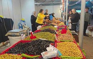 Sultangazi Belediyesi “Sırgan Festivali” düzenledi