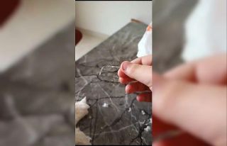 Yemek için aldıkları ekmeğin içerisinden ip çıktı