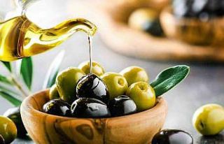 Zeytinyağı kalite yarışması başvuruları başladı