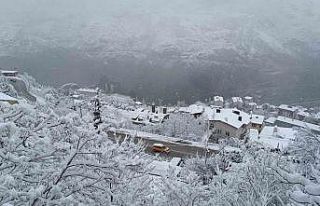Artvin’de yoğun kar yağışı hayatı olumsuz...