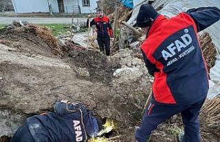 Batman’da ahır çöktü: 8 yavru köpekten 5’i...