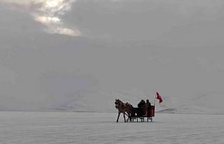 Çıldır Gölü’nde buz üstünde atlı kızak...