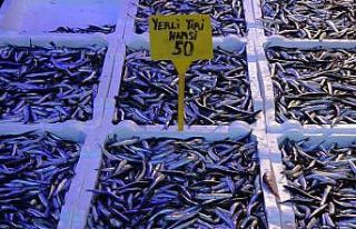 Hamsinin fiyatı yeni yılda geriledi