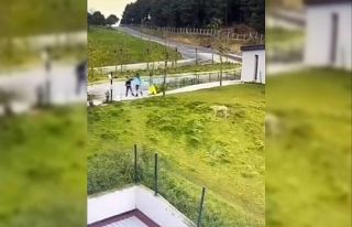 İBB Arıtma Tesisi’nde işlenen korkunç cinayetin...