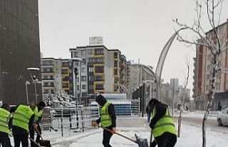 Van Büyükşehir Belediyesinden karla mücadele çalışması