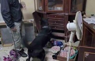 Adana’da “Narkogüç-48” operasyonu: 16 gözaltı