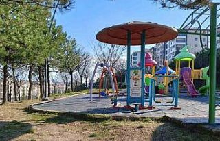 Ağacı oyarken kendisini bıçakla yaraladığı...