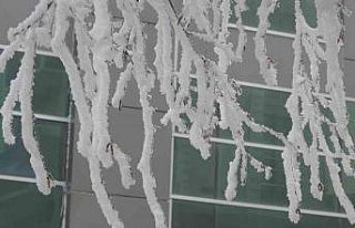 Ardahan eksi 18,6 derece ile buz tuttu