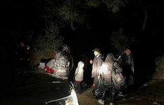 Ayvalık’ta 15 düzensiz göçmen yakalandı