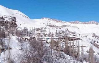 Beytüşşebap’ta kar etkisini sürdürüyor