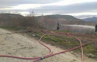 Bilecik’te ot yangını anında müdahaleyle söndürüldü
