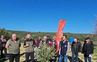 Çanakkale’de Zeytin Yetiştiricilerine eğitim...