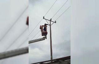 Elektrik direğinde mahsur kalan kediyi VEDAŞ ekipleri...