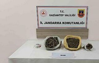 Gaziantep’te skunk operasyonu: 1 tutuklama