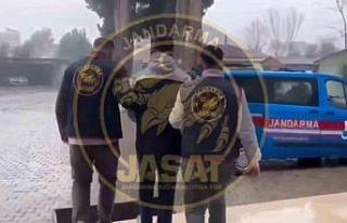 Hatay’da “YUMRUK” operasyonu: 50 gözaltı