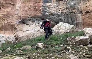 İtfaiye eri kayalıklarda kurtardığı keçiyi sırtında...