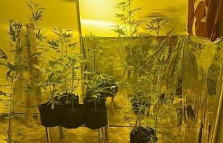 Kağıthane’de uyuşturucu operasyonu: 3 gözaltı