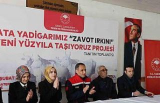 Kars’ta zavot ırkı yeni yüzyıla taşınıyor