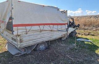 Kontrolden çıkan kamyonet devrildi: 1 yaralı