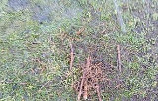 Muş’ta 2 kişiye 63 bin 138 TL para cezası kesildi