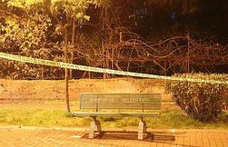 Parkta eşini öldürüp intihara teşebbüs eden...