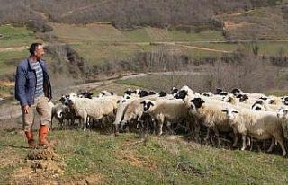 ’Sevgililer Günü’nün en anlamlı hediyesi çobandan