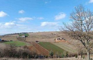 Tapu’dan 2023 yılında devlete 773 milyon TL gelir