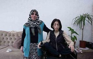 Tekerlekli sandalyesi çalındı, Şehitkamil’in...