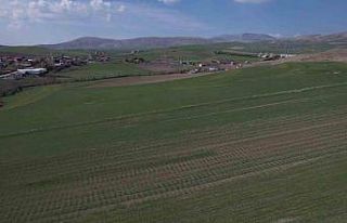 Toprağı susuz kalan çiftçi gözünü Nisan yağmurlarına...