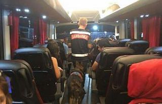 Uyuşturucu ile seyahate ‘hassas burun’ engeli:...