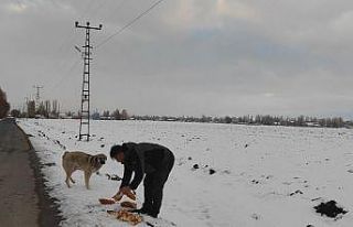 Zorlu kış şartlarında hayvanlara kucak açtı