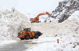 10 ayrı bölgeye çığ düştü: Ekipler yol açma...