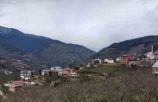 34 yıl sonra yeniden Giresun’a bağlanıyorlar