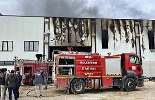 Afyonkarahisar’da fabrikada yangın