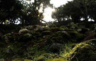 Aigai’deki kazı çalışmaları geleceğe miras...