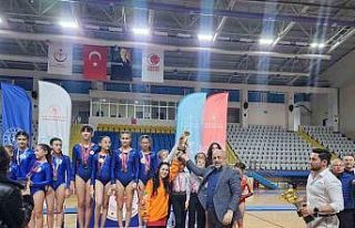 Artistik jimnastik il şampiyonluğu tamamlandı