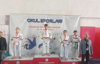 Başarılı sporcu gümüş madalya ile döndü